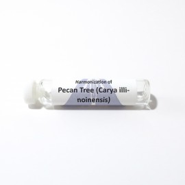 Pecan Tree (Carya illinoinensis)